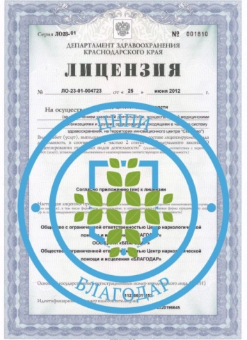 лицензия1